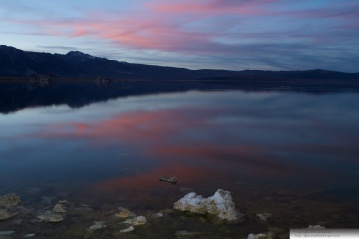 Mono Lake 8